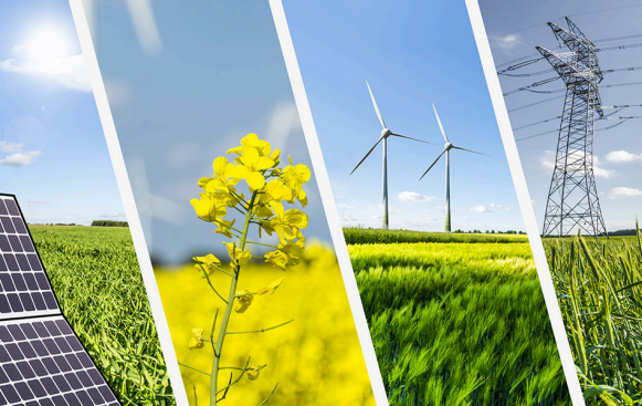 About Hinduja Enterprises